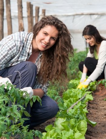 Giovani adulti impiegati nell’orticoltura